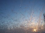 100_5867.jpg