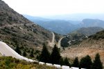IMG_2502.jpg
