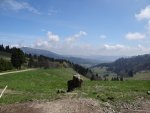 DSC01609.jpg