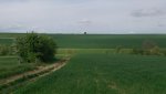 DSC_0151.jpg