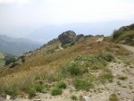 2011-08-02 14.16.41.jpg