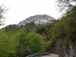 DSC04831.JPG