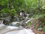 DSC04844.JPG