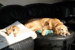 IMG_0924.JPG