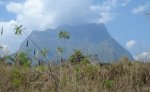 DSC01467.JPG