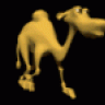 cameljoe