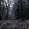 Manni_1988