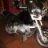 GS 1100 Rallle