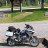 Laube