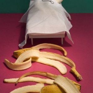 picdump 13 08 02 053