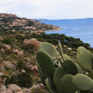 IMG 1928 Sardinien