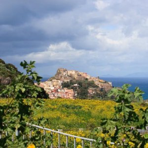IMG 1948 Castelsardo Sardinien