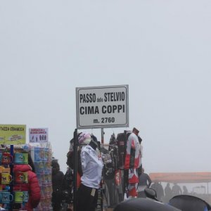 IMG 4847