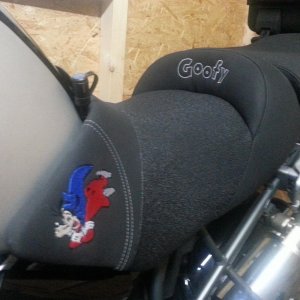 Mein Goofy