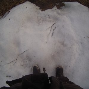 FILE0083
