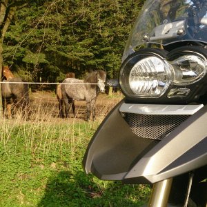 bmw 1200 2014 gesicht