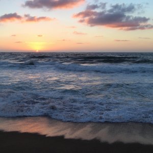 IMG 9760