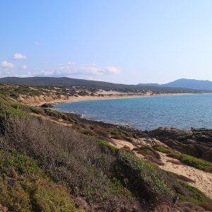 IMG 0156
