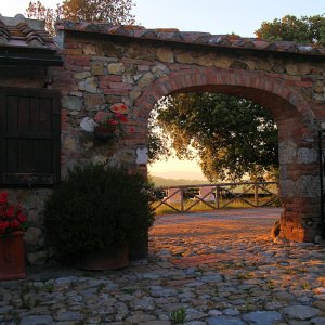 B 1000 IMG 8578
