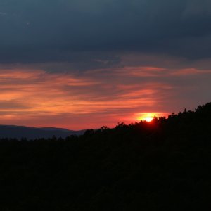 B 1000 IMG 8650