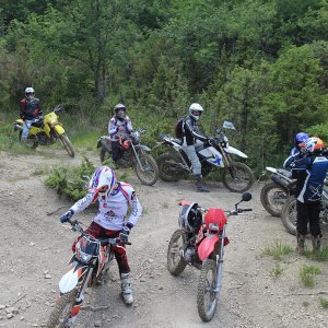 B 1000 IMG 8620
