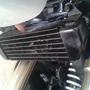 Gitter 1