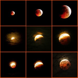 Blutmond