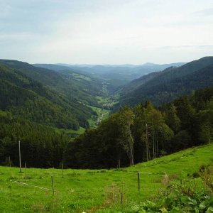 Col du Bagenelles (Vogesen)