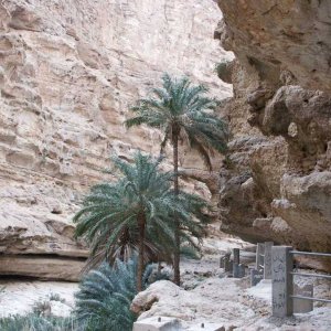 Oman_01