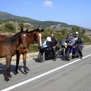 Sardinien 2005