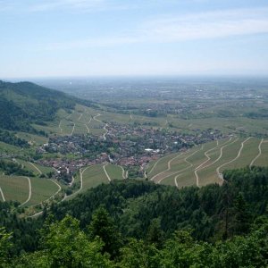 Blick ins Breisgau