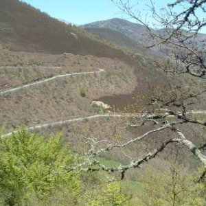 Picos de Europa