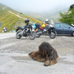 Gardasee 2007
