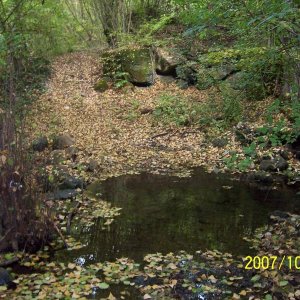 5_10_2007_apennin_mit_elmar_und_huub_051