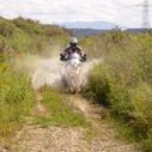 Motorwsche