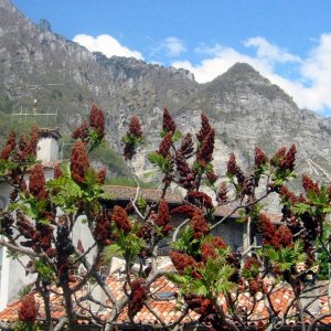 bei Belluno - Mai 08