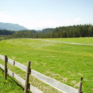 Allgäu im Frühling 2008
