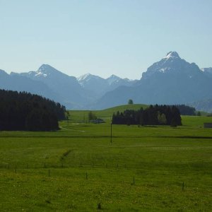 Berge, Wald, Wiesen - Allgu 2008