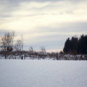 Eifel im Winter