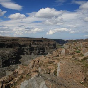 IMG_1730