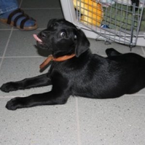 Motorrad Ausgleichsprogramm