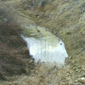 DSC00795