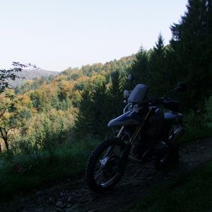 struthof