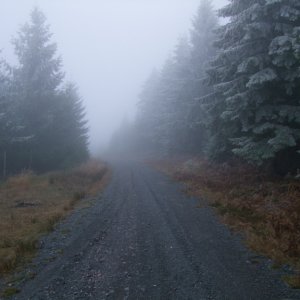 nebel