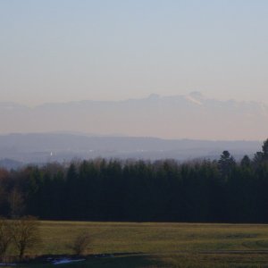 IMGP3467-1