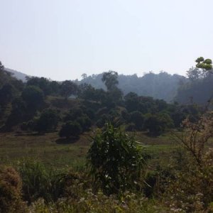 Thai2