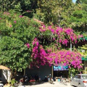 Thai20