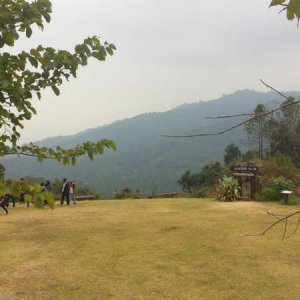 Thai27