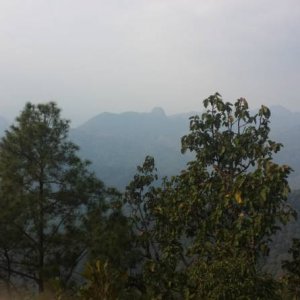 Thai34