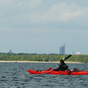P1110560.jpg
